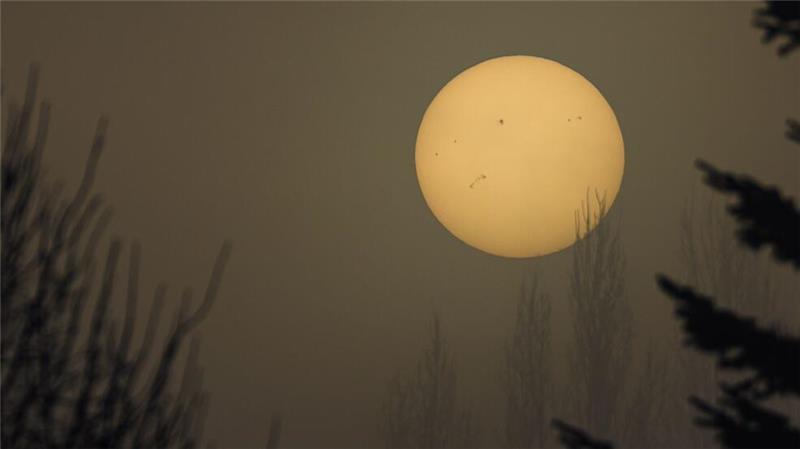 Die Sonne kämpft sich durch den dichten Nebel im Spreewald. Gut zu sehen: Die Sonnenflecken