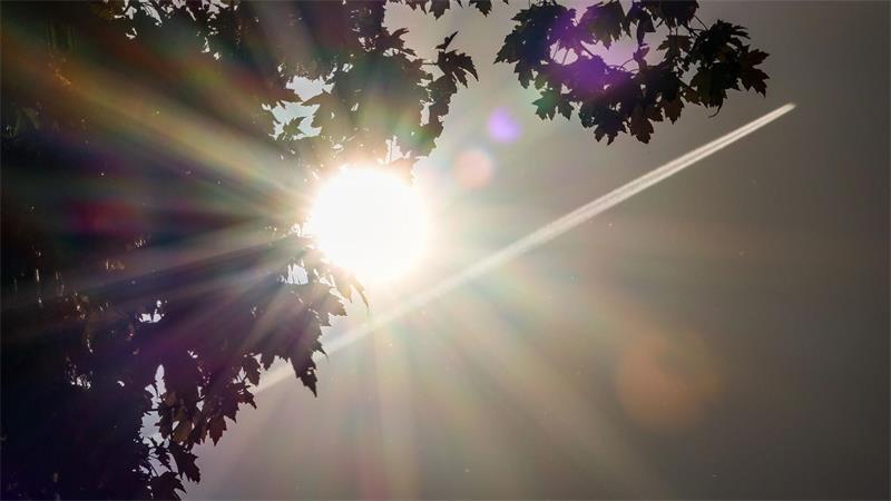 Die Sonne schaut hinter einer Baumkrone hervor. (Archivbild)