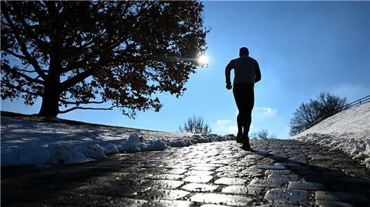 Die Sonne zeigt sich am ehesten an den Alpen.