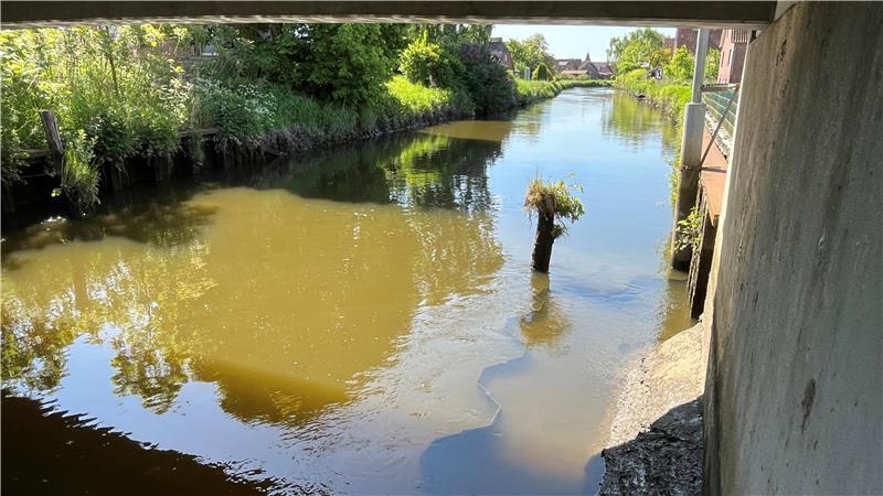 Ausbaggern soll Hochwasserschutz in der Lühe verbessern Die Spundwand im Flusslauf führt - auf Höhe der Brücke zwischen Neuenkirchen und Guderhandviertel (Neuhof) - zu Rückstau in der Lühe.