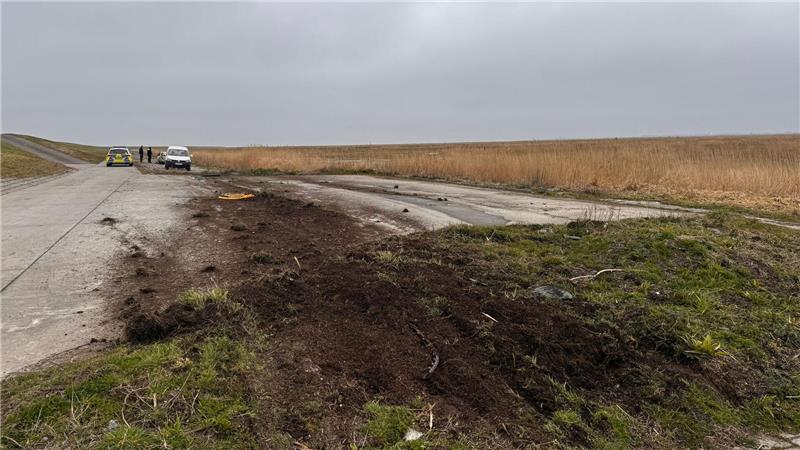 Die Spurrillen des Opel Corsa sind deutlich in der Grasnarbe zu erkennen.