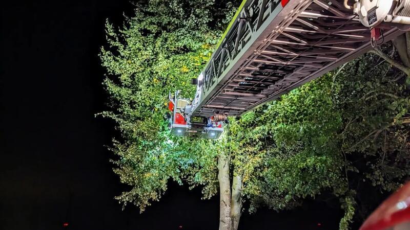 Stader Feuerwehr rettet Katze aus sieben Meter Höhe Die Stader Feuerwehr rettete am Mittwochabend eine Katze in Oederquart vom Baum.