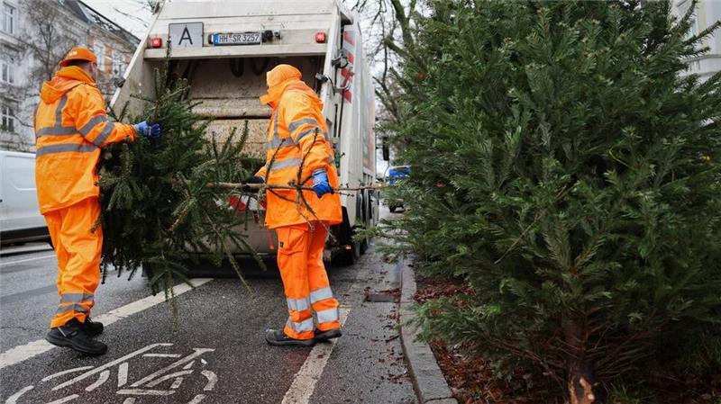 Stadtreinigung startet Abholaktion der Weihnachtsbäume Die Stadtreinigung fährt alle 104 Hamburger Stadtteile ab.