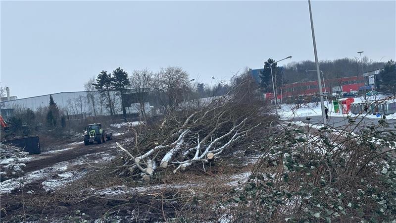 Die Städtischen Betriebe Buxtehude planen in der Philipp-Reis-Straße den Neubau des Baubetriebshofs. Zur Vorbereitung sind jetzt Bäume gefällt worden und Rodungsarbeiten erfolgt.