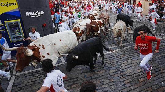 Die Stierhatzen im nordspanischen Pamplona sind schnell und gefährlich. Beim ersten von acht Läufen gab es zum Glück nur Leichtverletzte. Die Bullen aber sterben am späten Nachmittag in der Stierkampfarena.