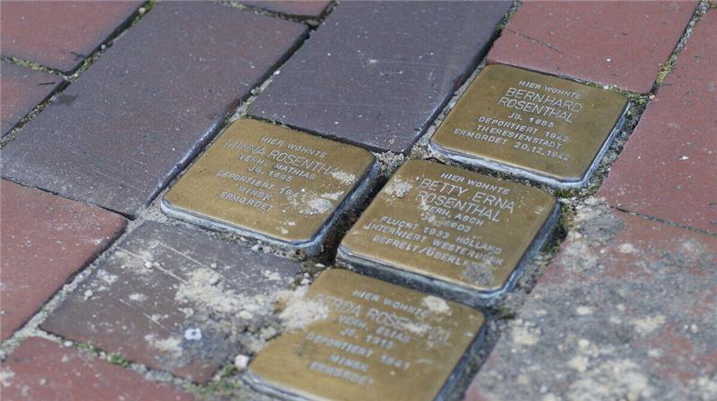 Die Stolpersteine in der Großen Hardewiek erinnern an das Schicksal der jüdischen Familie Rosenthal. Auf dem Bild erkennbar: Im Fugenbereich wurde das Erdreich herausgekratzt.