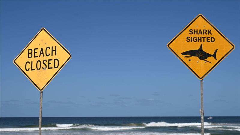 Die Strände in der Region wurden zunächst gesperrt. (Symbolbild)