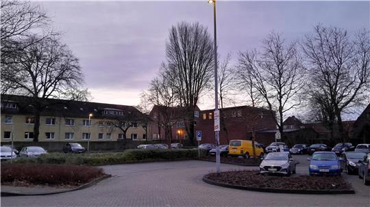 Die Sträucher am Parkplatz Hospitalstraße wurden zurückgeschnitten. Das sorgt für eine bessere Übersicht.