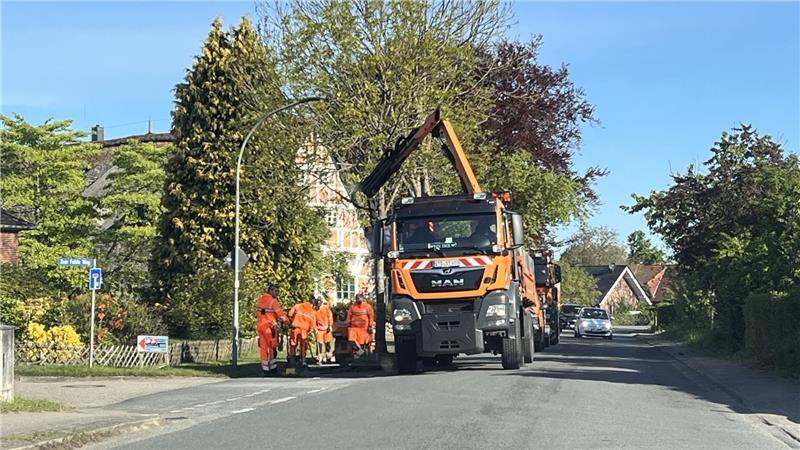 Gegen L140-Ausbau: Steinkirchener übergeben fast 2000 Unterschriften Die Straßenmeisterei des Landes bei Arbeiten am maroden Fußweg an der L140.