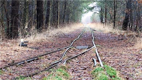 Die Strecke der Moorbahn führt durch das Tister Moor