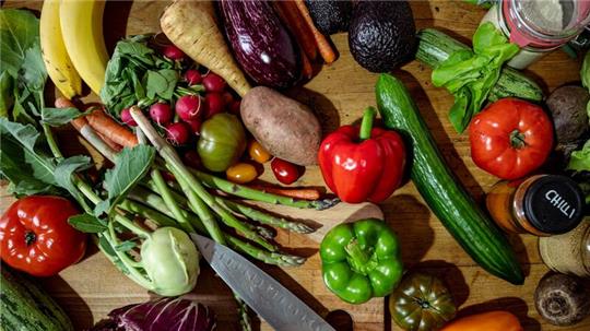 Die Studienteilnehmer ernähren sich entweder vegan, vegetarisch, pescetarisch oder essen sowohl pflanzliche als auch tierische Produkte.