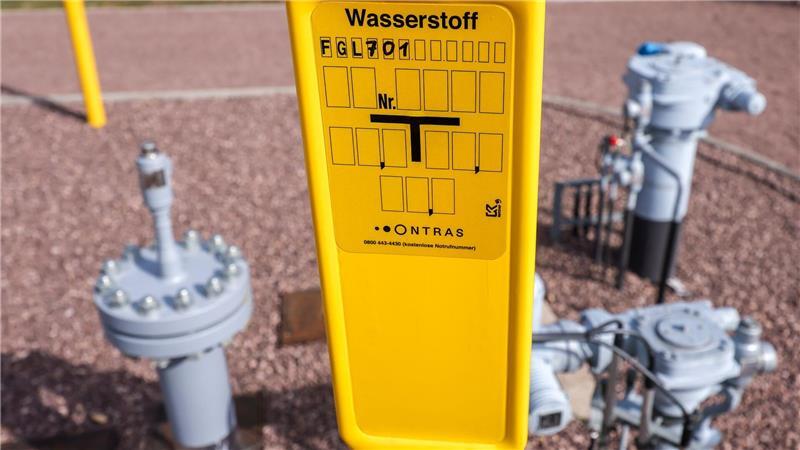 Die Subventionsempfänger müssen einen Teil der staatlichen Hilfen in saubere Technologien wie beispielsweise Wasserstoff investieren. (Archivbild)