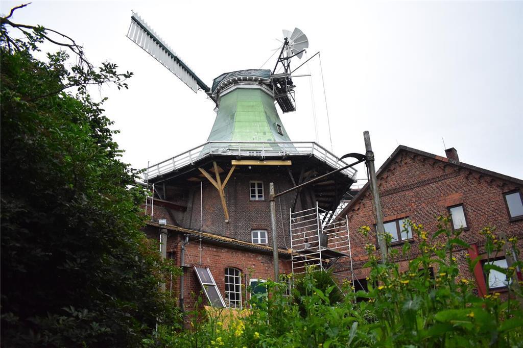 Die Südost-Seite des Galerie-Holländers in Twielenfleth. Hier wurden Bretter und...