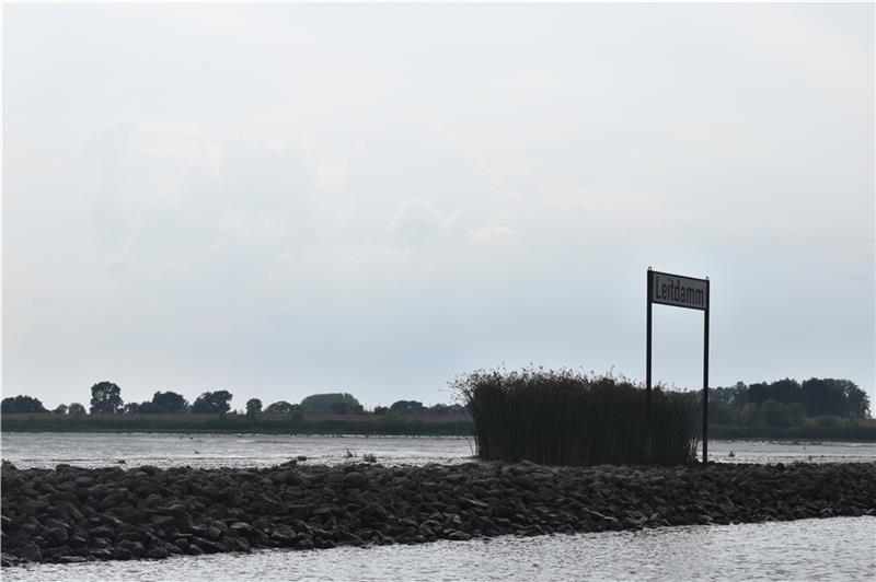 Die Süßwasserwattflächen auf Hahnöfersand sollten als Flachwasserzone ein Paradies für Löffelenten und Fische werden, jetzt sind sie komplett verschlickt oder verlandet. Foto: Vasel