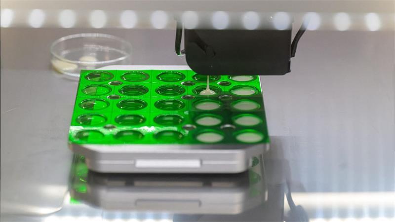 Die Tabletten aus dem 3D-Arzneimitteldrucker in Oldenburg sollen bei der Behandlung von schwer kranken Kindern helfen.