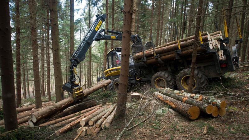 Die Täter entleeren Feuerlöscher in den Führerhäusern der Waldfahrzeugen. (Symbolbild)