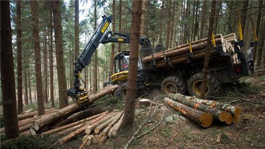 Die Täter entleeren Feuerlöscher in den Führerhäusern der Waldfahrzeugen. (Symbolbild)