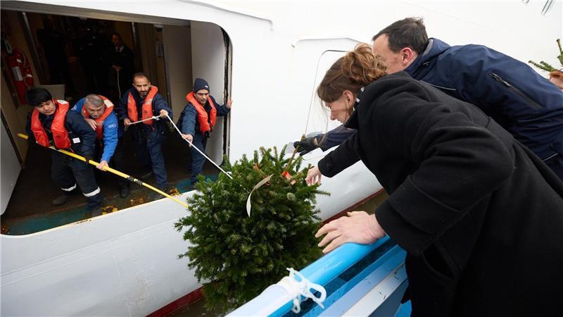 Die Tannenbäume kommen auf unterschiedliche Arten auf die Schiffe. 