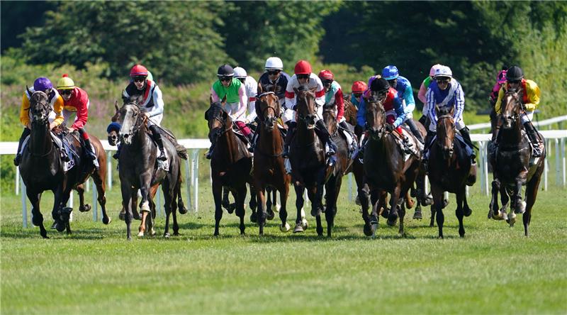 Die Teilnehmer des 153. Deutschen Derbys von 2022 laufen an der Tribüne vorbei. Foto: Marcus Brandt/dpa