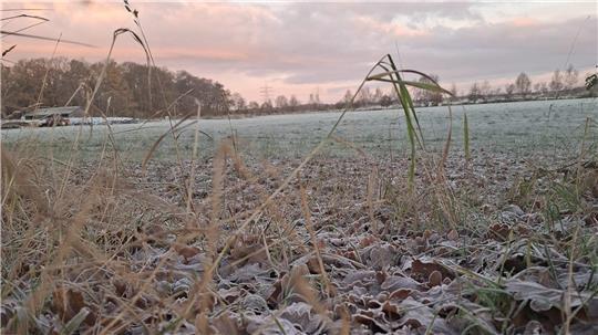 Die Temperaturen fallen in der Nacht zu Montag auf bis zu minus 4 Grad.