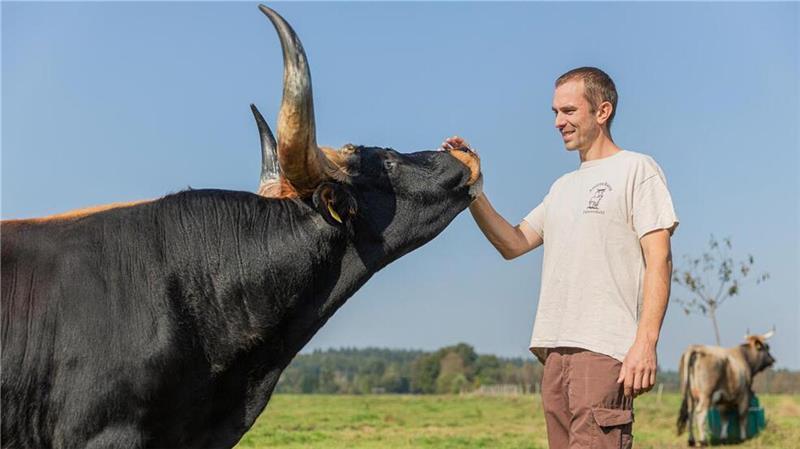 Die Tiere erhalten neben der Lieblingsnahrung auch Streicheleinheiten.