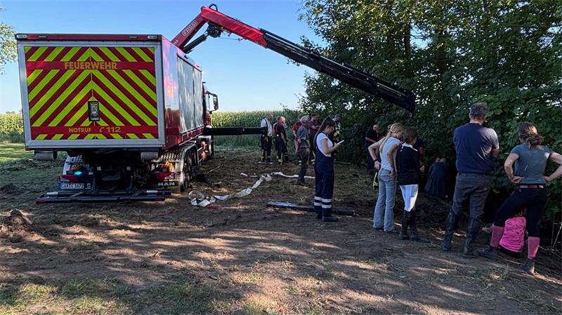 Pferd steckt im Graben fest – Feuerwehr sechs Stunden im Rettungseinsatz Die Tierrettung im Kreis Cuxhaven gelingt letztendlich mit einem Kran.