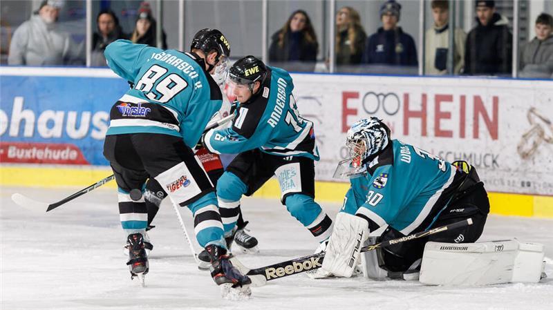 Tigers wollen den dritten Sieg in Folge im letzten Heimspiel Die Tigers wollen im letzten Heimspiel des Jahres natürlich noch einen Sieg feiern.
