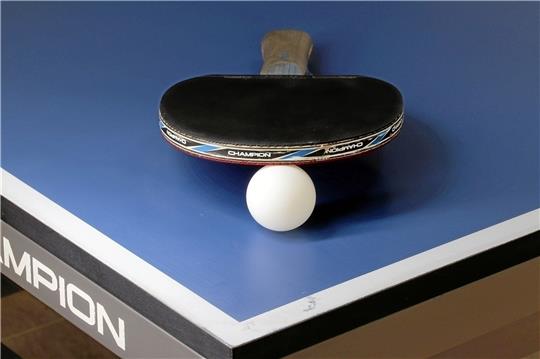 Die Tischtennissparte des MTV Othfresen braucht zusätzliche Hallenzeit. Foto: Pixabay