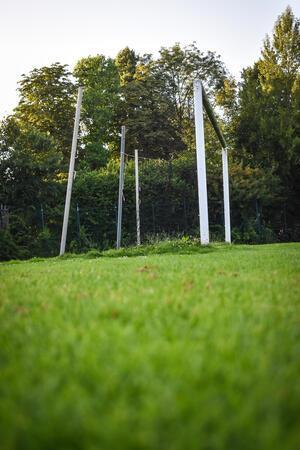 Ein Fußballtor. An den Pfosten wächst das Gras hoch.