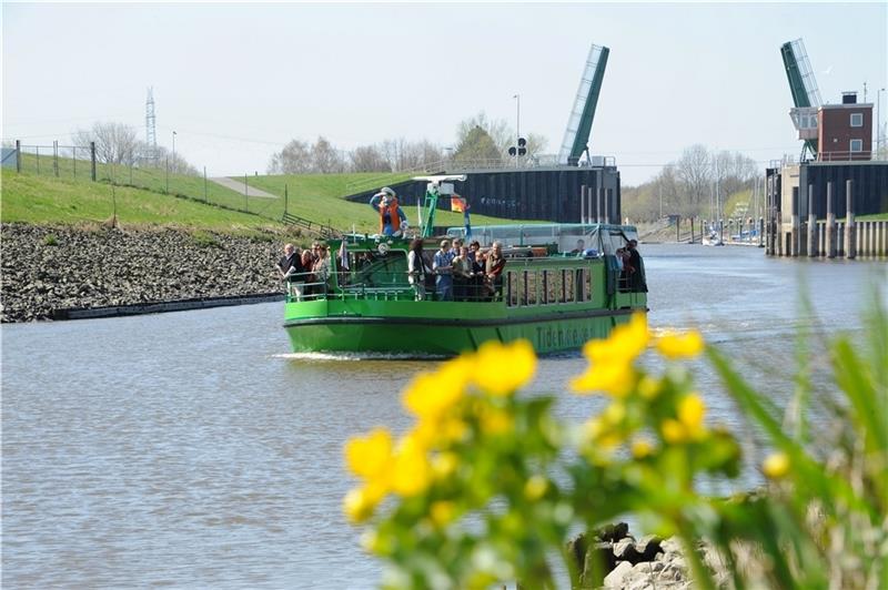 Die Tour „Schilfparadiese“ , hier auf der Schwinge, führt in das ehemals größte Süßwasserwatt Europas. Foto: Martin Elsen