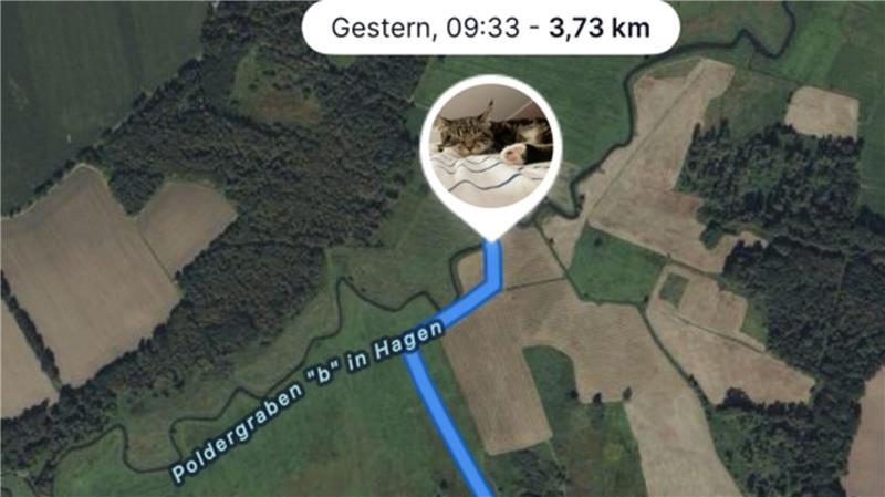 Die Trackingdaten sind noch als blauer Strich mit Zeitangabe versehen auszulesen.