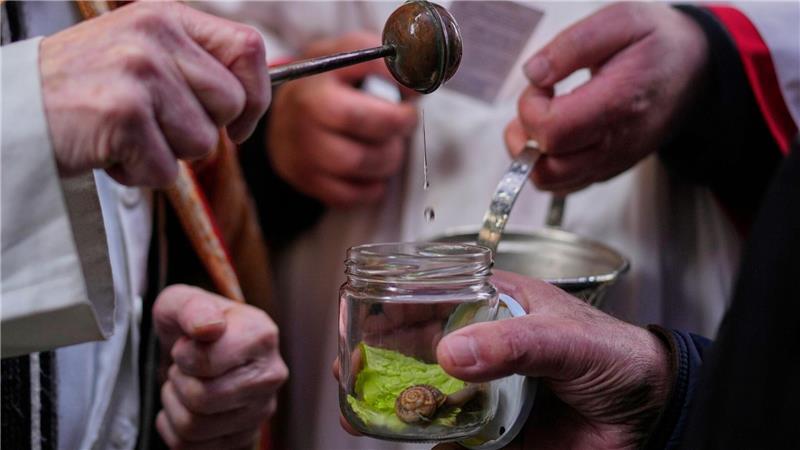 Die Tradition der katholischen Tiersegnung geht auf das Mittelalter zurück. Früher ließen die Bauern ihr Vieh segnen, heute sind es vor allem Städter, die ihre Lieblinge immer an einem 17. Januar, dem Fest von San Antón, dem Schutzeiligen der Tiere, zur Kirche tragen. 