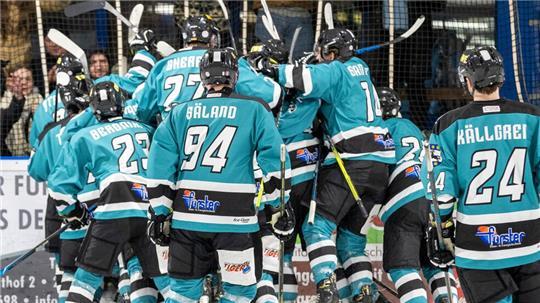 Die TuS Harsefeld Tigers haben das Halbfinale erreicht.
