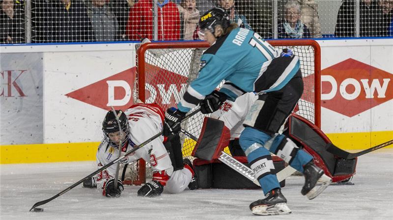 Die TuS Harsefeld Tigers stehen im Viertelfinale der Play-offs.