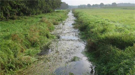 Die Twiste ist eines der Problemgewässer im Gebiet des Unterhaltungsverbandes Obere Oste. Der Wasserlauf wächst sommers schnell zu und muss öfter geräumt werden.
