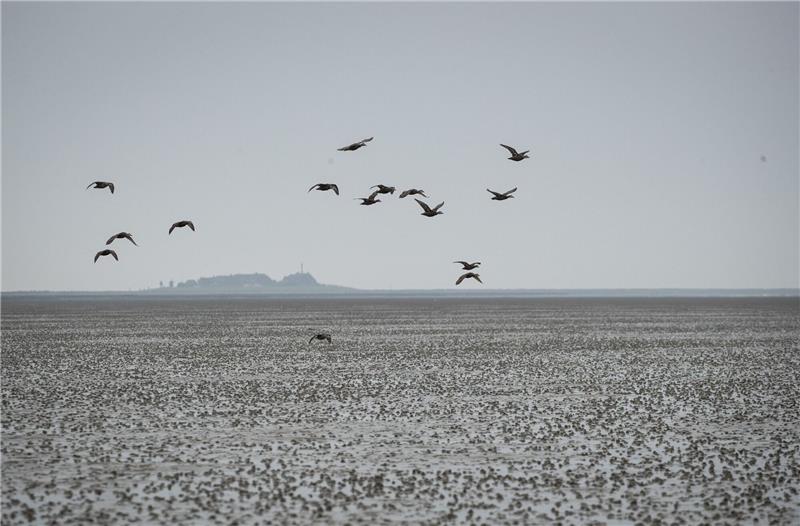 Unesco warnt vor Öl- und Gasförderung im Welterbe Wattenmeer Die UN-Kulturorganisation Unesco warnt vor Öl- und Gasförderung im Welterbe Wattenmeer.
