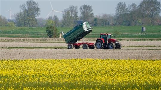 Die Umweltauflagen für Landwirte sollen auf EU-Ebene gelockert werden - das ist nicht unumstritten.
