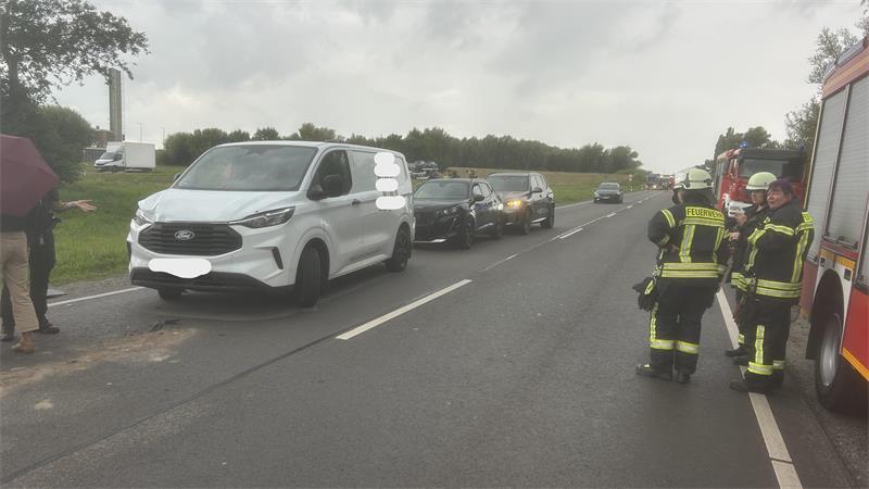Die Unfallwagen in der Warteschlange in Wischhafen: Die Fahrzeuge wurden aufeinandergeschoben.