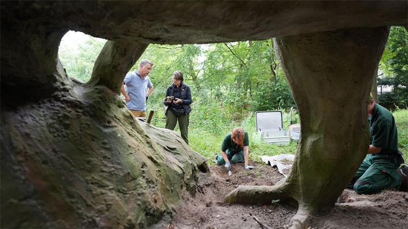 Die Untersuchung am Allosaurus soll als eine Art Muster dienen.