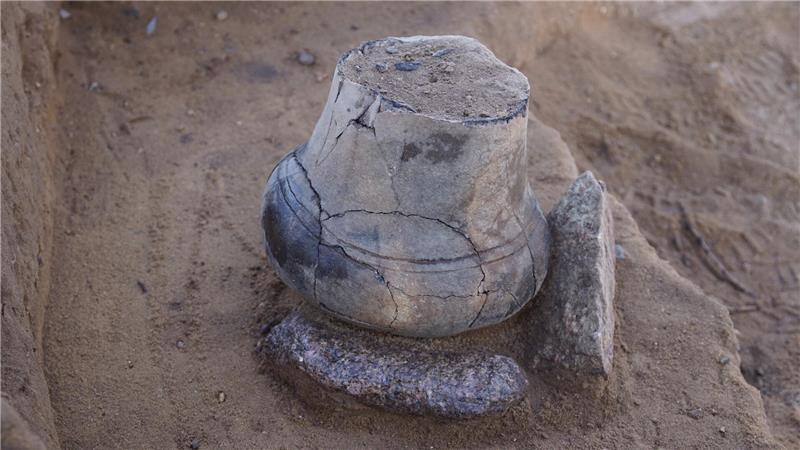 Archäologen entdecken nahe Immenbeck 30 Gräber Die Urnen sind gut erhalten.
