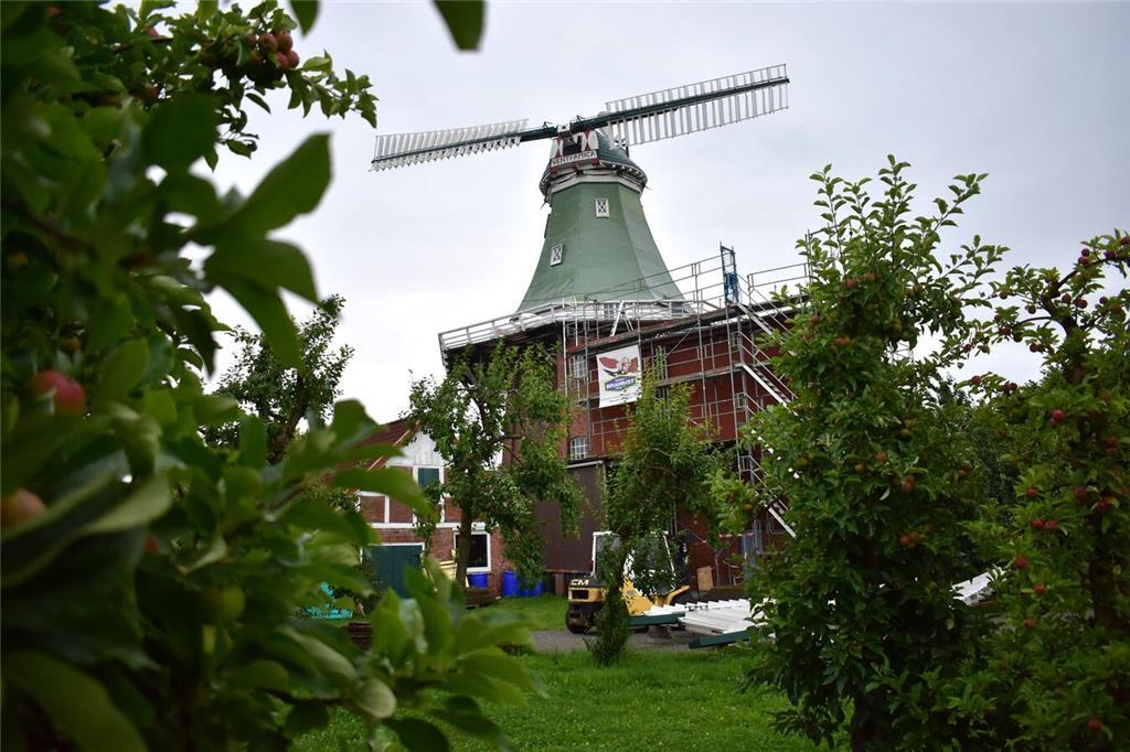 Die Venti Amica wird saniert.