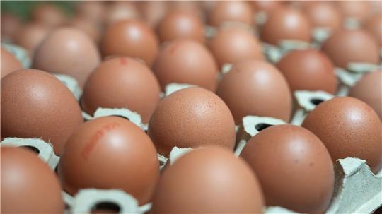 Die Verbraucher essen mehr Eier als noch vor ein paar Jahren.