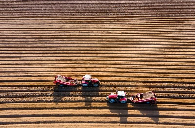 CDU fordert Nutzung weiterer Äcker für Lebensmittelversorgung Die Verbraucher- und Energiepreise steigen als Folge des Krieges in der Ukraine drastisch an, gerade bei Brot, Butter, aber auch für Futtermittel. Foto: Jens Büttner/dpa