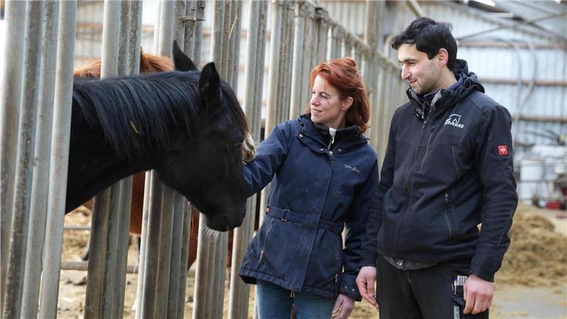 Die Versorgung der 55 Pensionspferde und der 10 eigenen Pferde gehört zu den Aufgaben von Shahrom Yunuszoda auf Hof Seeverns. Seine Chefin Maike Harbers-Bahr schätzt ganz besonders seine Zuverlässigkeit und seine Freundlichkeit.