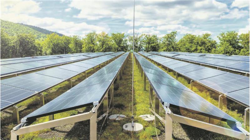 Die Visualisierung zeigt das begrünte Dach des Betriebshof-Neubaus. Photovoltaikmodule erzeugen aus Sonnenlicht Strom.