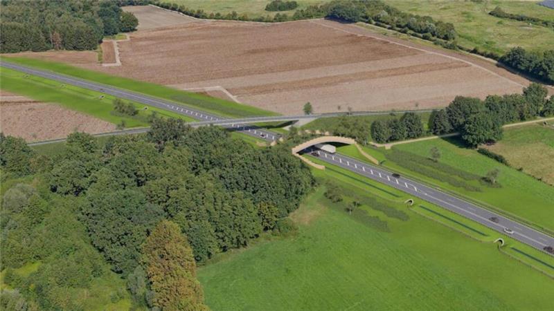 Die Visualisierung zeigt die Brücke für Tiere an der geplanten B3 neu bei Ketzendorf. Rehe, Hasen und die Zauneidechse leben in der Umgebung.