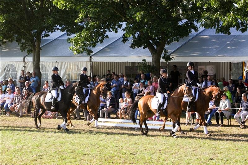 Die Vorbereitungen für das Reitturnier laufen auf Hochtouren