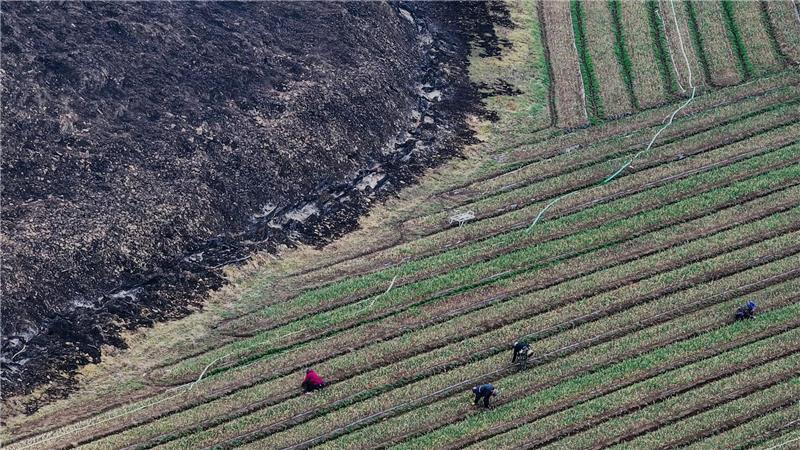 Waldbrände in Südkorea weitgehend eingedämmt Die Waldbrände gelten als die mit Abstand schlimmsten in der Geschichte Südkoreas.