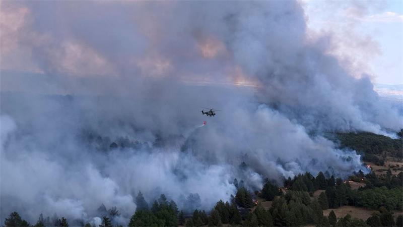 Feuerwehrleute aus Niedersachsen bekämpfen Waldbrand in Serbien Die Waldbrände in der Nähe von Belgrad wüten weiterhin sehr stark. (Archivbild)