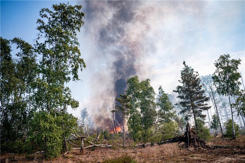 Waldbrandgefahr: Was Sie tun können - auch im Notfall Die Waldbrandgefahr ist in Deutschland derzeit hoch. Ursachen sind die hohen Temperaturen, geringe Luftfeuchtigkeit und die vertrocknete Vegetation. Foto: Fabian Sommer/dpa/dpa-tmn
